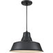 R Series 1 Light 14 inch Satin Black Outdoor Pendant